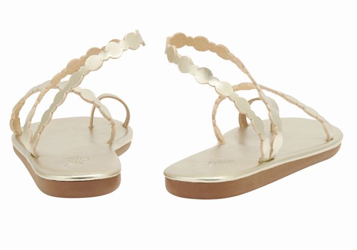 Sandales Toe-Post Ancient Greek Sandals Cronos   | VWS-5327374